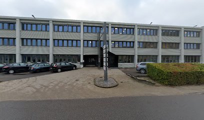 Den Intelligente Krop